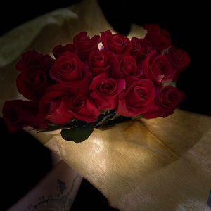 Meet your Posher, Hanna-sofia